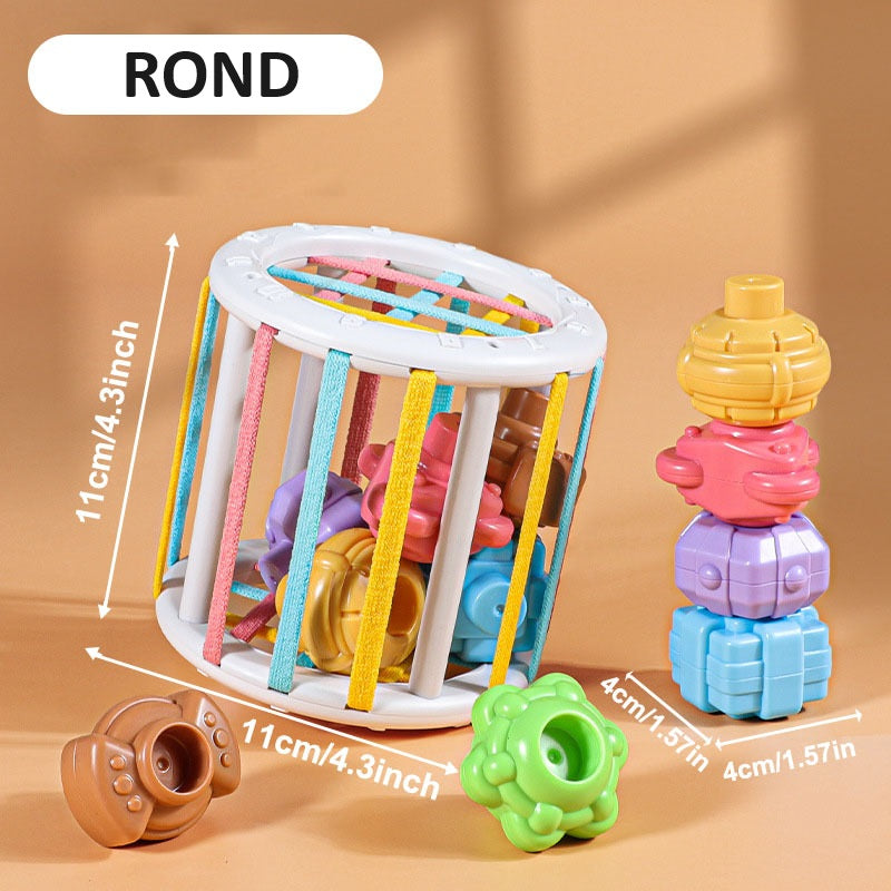 Jeu de Tri de Blocs en Formes Colorées pour Bébé