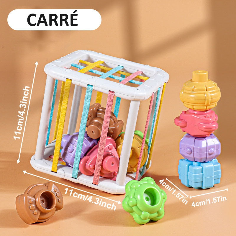 Jeu de Tri de Blocs en Formes Colorées pour Bébé
