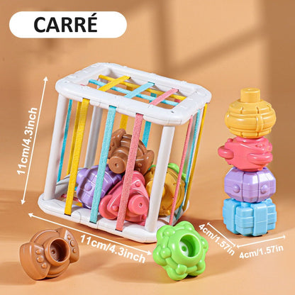 Jeu de Tri de Blocs en Formes Colorées pour Bébé