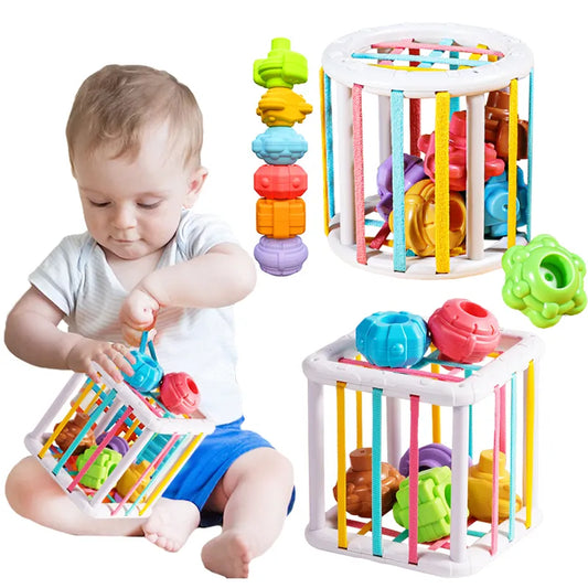 Jeu de Tri de Blocs en Formes Colorées pour Bébé